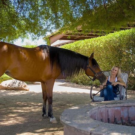 스코 츠 데일 Agave Adobe 빌라 외부 사진